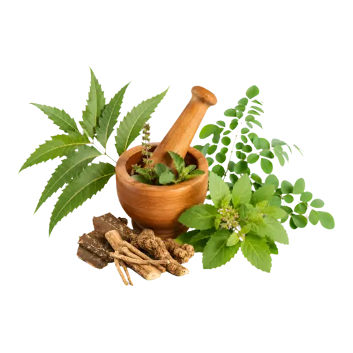Fresh Ayurvedic herbs with a wooden mortar and pestle