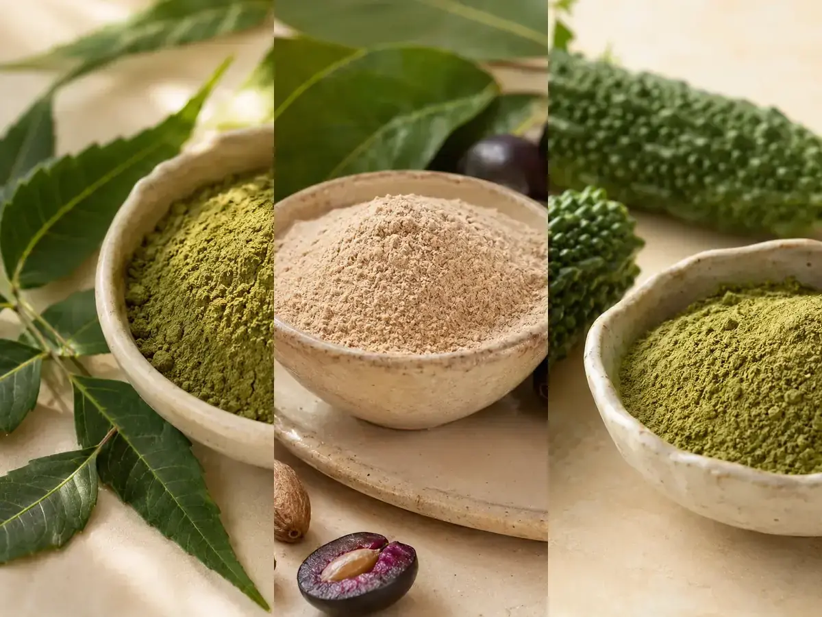 Neem leaves, jamun seeds and karela with herbal powders